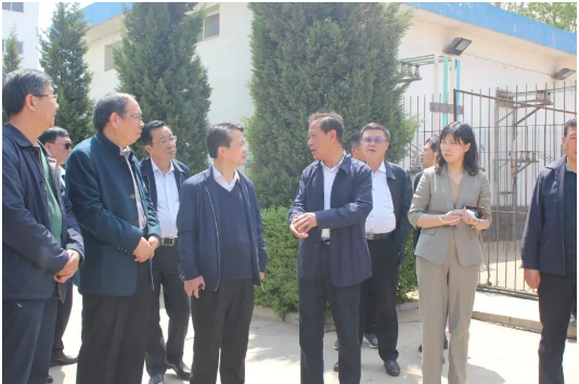 省糧食局副局長徐曉峰一行蒞臨我公司 督導(dǎo)高標(biāo)準(zhǔn)谷子種植育種基地籌建工作
